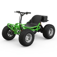 Kart à essence tout-terrain pour adultes, monoplace, buggy de course à 4 roues, moteur 200cc 4 temps, tout-terrain, directement de l'usine