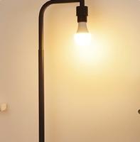 Ampoule LED 3W rechargeable à intensité variable avec télécommande pour l'éclairage d'ambiance intérieur