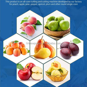 Equipo de deshuesado de dátiles Muti funcional máquina removedora de semillas de cereza de alto rendimiento Dispositivo de eliminación de núcleo de oliva - Product Image 3