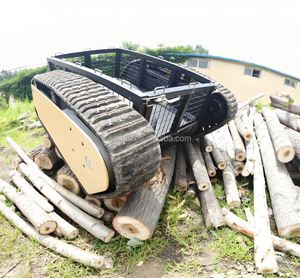 Precio de Fábrica, Vehículo Anfibio Robótico con Chasis de Orugas de Goma Grandes y Resistentes, con Carga Máxima de 500 kg - Product Image 5
