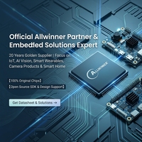 Microcontrolador Oficial Allwinner V851S AIoT de 64 bits RISC-V A7 Core 0.5T NPU con Sistema Operativo Linux 5.4 Kernel, 64 MB de RAM DDR2 y Bajo Consumo de Energía