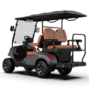 개인화 된 페인트 구성표 가죽 시트 오디오 맞춤형 골프 카트 - Product Image 6