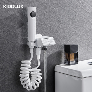 Распылитель для ванной комнаты с латунным клапаном - Product Image 1