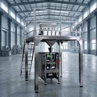 Machine d'emballage verticale RL420, machine VFFS automatique pour les collations, les aliments soufflés, les chips de pommes de terre, emballage sous azote