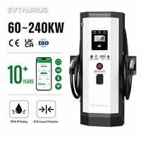 Estación de Carga Rápida para Vehículos Eléctricos (VE) de Corriente Continua (CC) Universal Inteligente Comercial OCPP IP54 CCS2 CCS1 GBT Chademo, Montada en el Suelo, con DLB