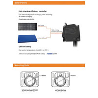 Lampe solaire de rue Ledmic 30W à capteur micro-ondes tout-en-un, activée par le mouvement, à induction intelligente, fabricant