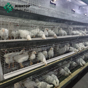 La mejor calidad de un <span class=keywords><strong>marco</strong></span> de pollos de engorde <span class=keywords><strong>pollo</strong></span> aves de corral criador jaula para granja - Product Image 4