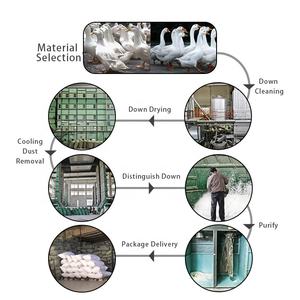 Super King-almohada de plumas de pato, <span class=keywords><strong>relleno</strong></span> de pluma de ganso - Product Image 3