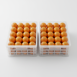 Naranja <span class=keywords><strong>Valencia</strong></span> Dulce, Cítrico Fresco Natural, Fruta Premium Saludable y Jugosa, Cosecha <span class=keywords><strong>de</strong></span> Huerto, Exportación, Suministro a Granel - Product Image 4