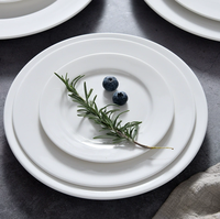 Aanpasbare 5-12 inch witte keramische platte borden, puur wit porselein, milieuvriendelijk, modern logo, geschikt voor restaurants en diners.