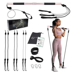 Zhensheng personalizado portátil 3 pares porta pilates bar com resistência bandas