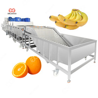 Industriële Auto Groentewater Reiniging Palmfruit Wasmachine Kokosvlees Wasmachine