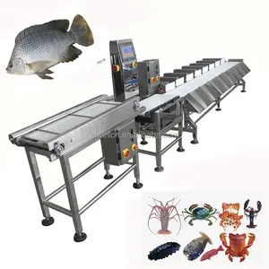 Línea de procesamiento de alimentos Industrial automática, máquina de clasificación de pescado, pollo por peso, alta eficiencia