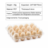 Boîte de rangement portable pour 20 œufs, antichoc, avec couvercle, en plastique protecteur, pour camping, voyage en extérieur et barbecue