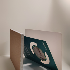 Plaques <span class=keywords><strong>de</strong></span> plâtre avec surface en papier pour cloisons <span class=keywords><strong>de</strong></span> bureaux, d'hôtels et d'espaces commerciaux - Product Image 6