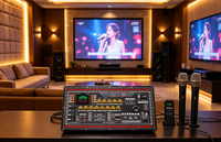 HN-A1036 200W Toroidal Trafo DSP Amplifikatör Kartı TWS Çift Güç Amplifikatör Modülü