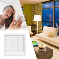 Avoir/Pas de commutateur intelligent Wifi neutre EU UK 1gang 2gang 3gang Bouton-poussoir mural WiFi Tuya Commutateur intelligent avec capacité