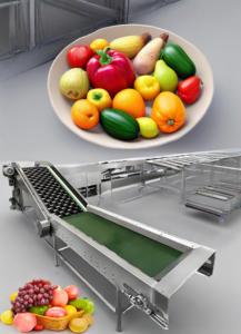 Máy phân loại đa chức năng, nhiều cấp độ, dùng cho chanh, một hoặc hai kênh - Product Image 4