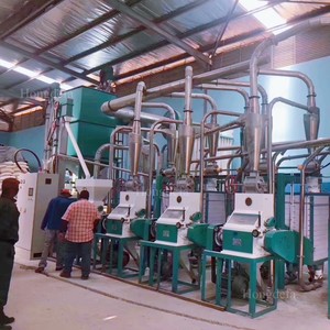 Fresatrice per farina di mais certificata 5tpd | Macinino automatico per mais | Attrezzatura per la lavorazione del grano industriale - Product Image 1
