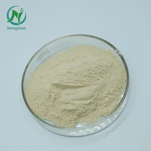 Newgreen Supply Alta qualidade Pure 99% Pine Pollen Extract Organic Pine Pollen Powder