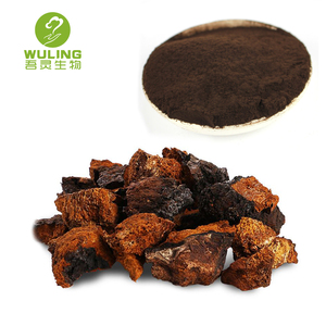 Siberiana salvaje Chaga Extracto de 30%-50% polisacáridos - Product Image 6