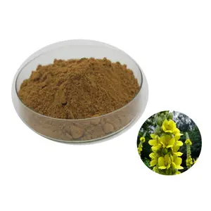 Wholesale Mullein Extract 4:1 Mullein Powder Mullein Leaf Extract Powder