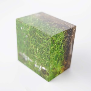 แจกันอะคริลิกเรซิ่นทรงสี่เหลี่ยมลายหญ้าสีเขียวธรรมชาติ ของตกแต่งงานฝีมือ สำหรับวันดินโลก - Product Image 3