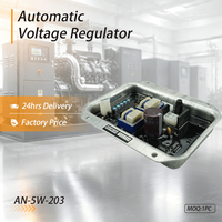 Régulateur de tension automatique (AVR) AN-5W-203 pour générateur