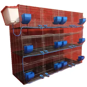 繁殖兔屋附巢箱和兔笼新产品2023提供40个兔笼菲律宾金属管1套