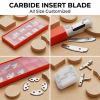 Lame de rechange pour tête de coupe spirale DH 15*15*2.5*30/37/R150 en carbure de tungstène pour le travail du bois
