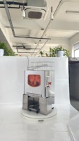 Commerciële sinaasappelpersmachine, automatische elektrische machine voor vers sinaasappelsap voor winkels en supermarkten