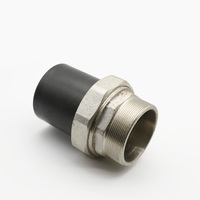Zhengxin Raccord de tuyau HDPE direct d'usine de haute qualité 75mm Union droite PE filetage mâle adaptateur de fer couplage poli UV