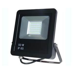 Faretto LED da Esterno 50W IP65 per Illuminazione Giardino e Sicurezza - Product Image 1
