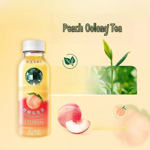 スターバックスのホットセール砂糖を含まないコーヒージューシーティードリンク、フルーティー味ボトルのさまざまなオプション - Product Image 3