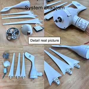 Generador de <span class=keywords><strong>molino</strong></span> de viento de 1000W, 3 cuchillas para uso doméstico en granja, sistema de energía libre, 12V, 24V, 48V, turbina eólica para el hogar, granja, ciudad, costo - Product Image 3