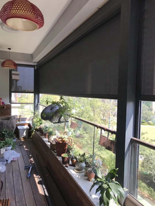 Ngoài trời Windproof không thấm nước điện cơ giới dọc con lăn mù Patio cửa sổ màn hình con lăn rèm - Product Image 4