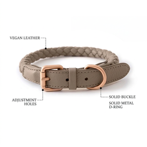 Collier pour chien en cuir vegan tressé avec accessoires en or rose, collier classique réglable pour animaux de compagnie - Product Image 1