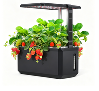 Jardín Hidropónico Interior Inteligente con Indicador de Nivel de Agua y Luz LED para Fresas