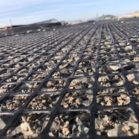 Geogrid Factory Nouveaux matériaux PP Géogrille biaxiale 30kN 40kN pour chaussées en ciment armé, travaux de terrassement et construction routière