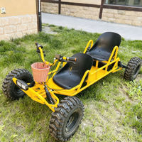 Go-Kart Familiar Longwise para Adultos y Niños, 2 Asientos, 500/800W, Eléctrico o con Combustible, Ruedas de 8 Pulgadas, Todoterreno, 50km/h, Cadena, Frenos de Disco Hidráulicos