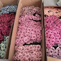Buket Bunga Mawar Sutra Buatan 7 Tangkai Warna Champagne Musim Gugur KW-F081 untuk Dekorasi Pernikahan