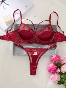 Set di Lingerie in Pizzo <span class=keywords><strong>Bordeaux</strong></span> Personalizzato OEM, <span class=keywords><strong>Reggiseno</strong></span> e Perizoma in Rete Trasparente con Ricamo Floreale 3D, Set di 2 Pezzi di Lingerie Esotica per Donne - Product Image 1