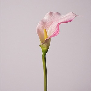 Grandes fleurs artificielles réalistes de 39 pouces à longue tige, Calla Lily, <span class=keywords><strong>Arum</strong></span> Lilies, pour <span class=keywords><strong>la</strong></span> décoration de <span class=keywords><strong>la</strong></span> maison, de <span class=keywords><strong>la</strong></span> cuisine, des mariages, des fêtes et des bureaux - Product Image 2