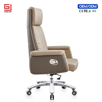 Chaise de bureau ergonomique professionnelle avec soutien lombaire et fonction pivotante