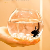 Aquarium en verre transparent circulaire miniature pour poissons rouges, poissons combattants, tortues, art, bureau, maison, petit salon