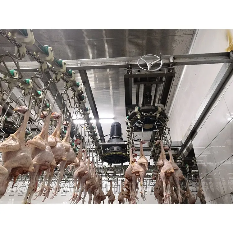 Suministro de fábrica Máquina de matanza de pollos Línea de matanza de pollos Halal Equipo de aves de corral para la venta