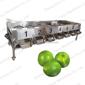 Máquina de clasificación comercial de fruta cítrica, persa - Product Image 1