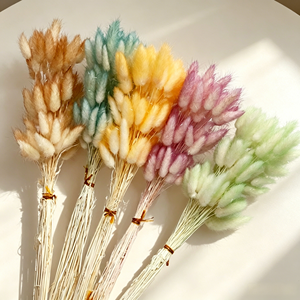 Pampas de Hierba de Cola de Conejo Auténticas para Decoración de Bodas, Hogar, Graduaciones y Festivales, para Hacer Ramos, Flores Secas, <span class=keywords><strong>Phalaris</strong></span> - Product Image 1