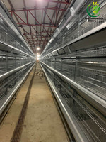 Nouveau système de cages à poulets en acier galvanisé de type H entièrement automatique pour 10 000 poulets, avec une longue durée de vie, pour les exploitations avicoles modernes
