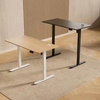 Bureau debout électrique ergonomique moderne avec moteur unique et structure en acier pour bureau à domicile